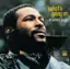 Front. What's Going On [180 Gram Vinyl] [LP].