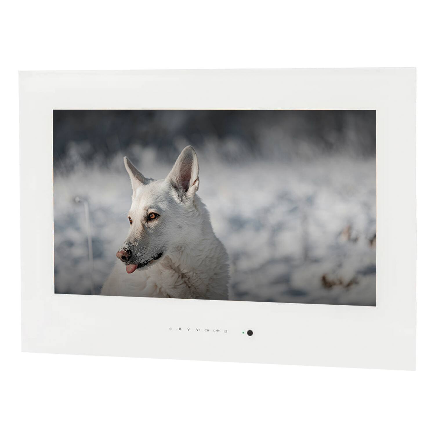 Front. ParallelAV - 24" Heat-Resistant Waterproof Sauna TV - White.