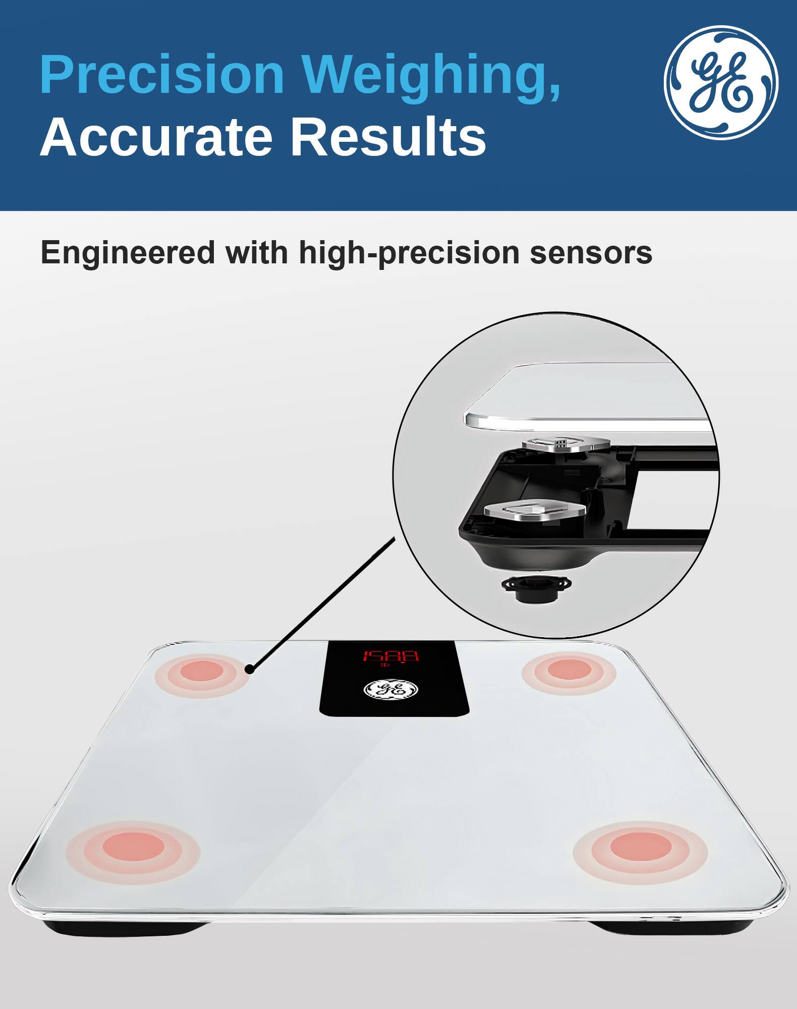 Precision Weighing, Accurate Results

Engineered with high-precision sensors
