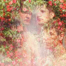STRFKR - Miracle Mile - Pink - VINYL LP