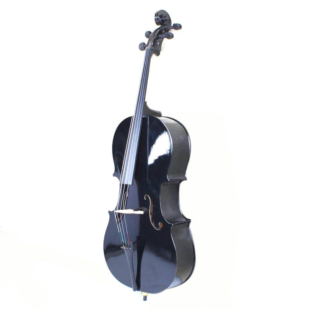 Winado - 3/4 Violin, Full Size Acoustic Fiddle, Black Beginner Kit with Hard Case, Bow, Rosin, Shoulder Rest, Bridge, Strings