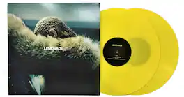 Beyoncé - Lemonade - VINYL LP