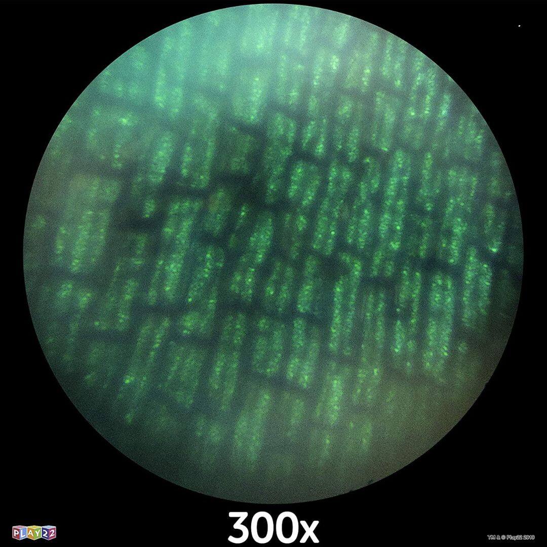 PLAY22  
300x  
Yin & Phlegm 2020