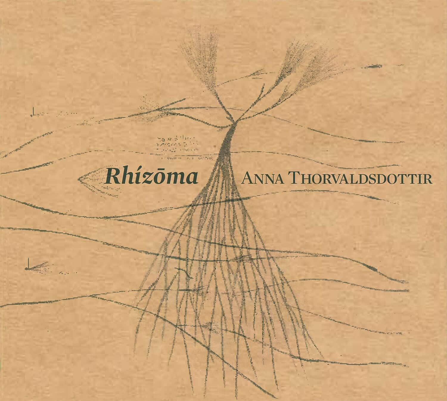 Caput Ensemble  Iceland Symphony Orchestra  Dehart  Birgisson  Bjarnason - Rhizoma   - COMPACT DISCS [CD] price history on PriceWatchPro