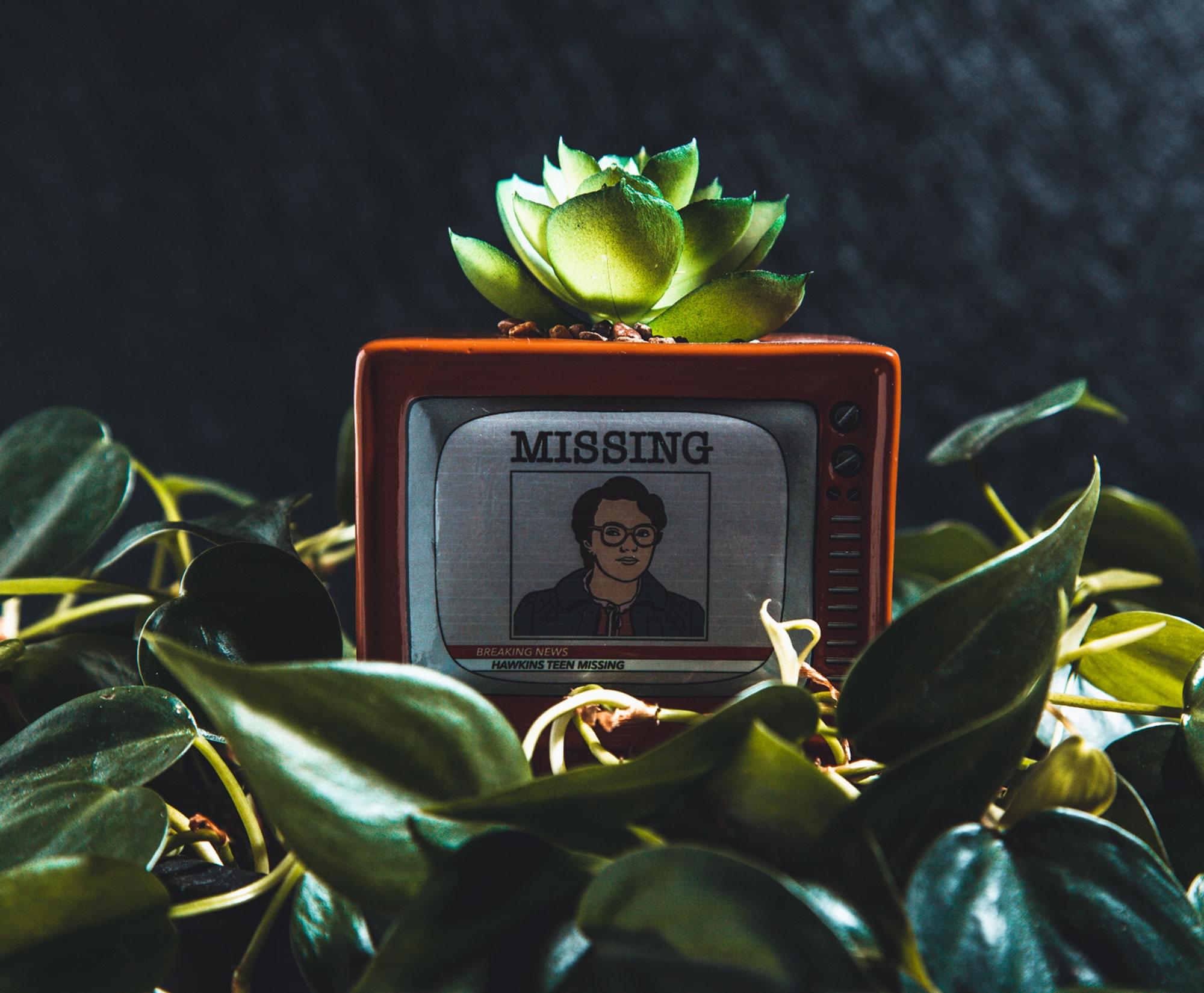 MISSING

BREAKING NEWS: HAWKINS TEEN MISSING