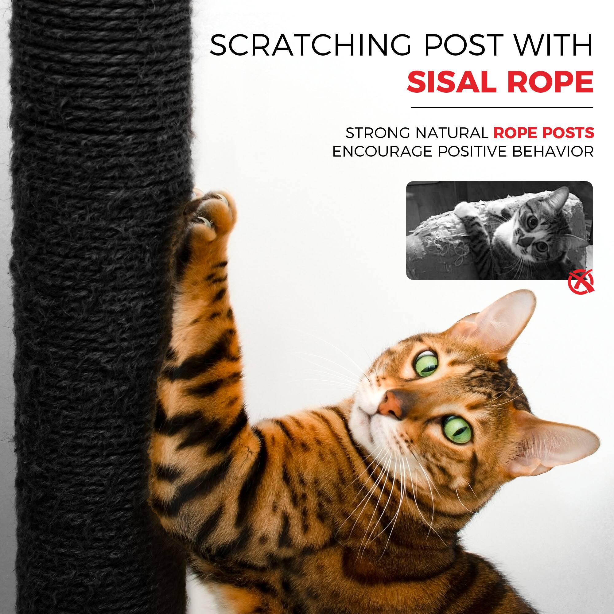 SCRATCHING POST WITH SISAL ROPE

STRONG NATURAL ROPE POSTS ENCOURAGE POSITIVE BEHAVIOR
