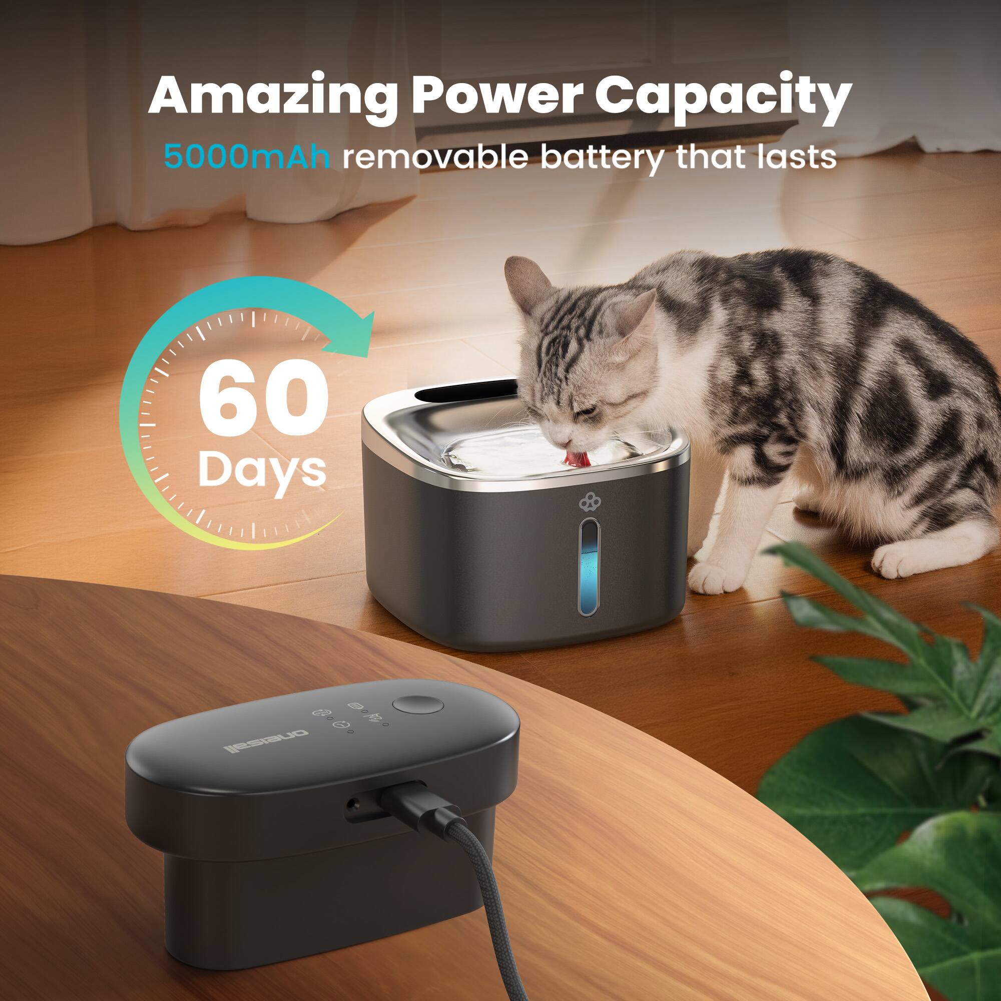 Amazing Power Capacity  
5000mAh removable battery that lasts  
60 Days