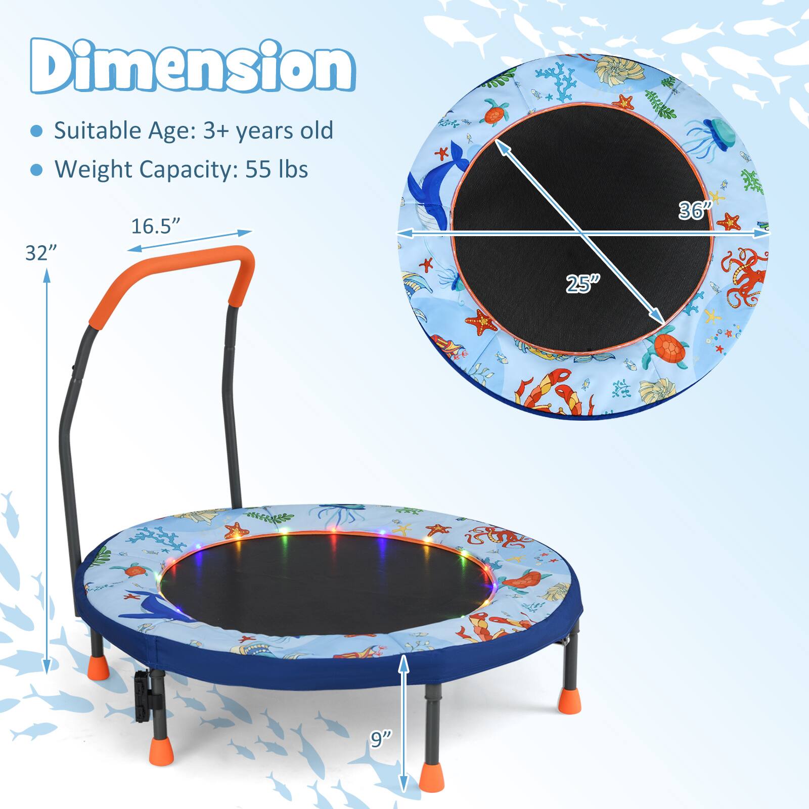 Dimension  
- Suitable Age: 3+ years old  
- Weight Capacity: 55 lbs  

16.5"  
32"  
25"  
36"  
9"