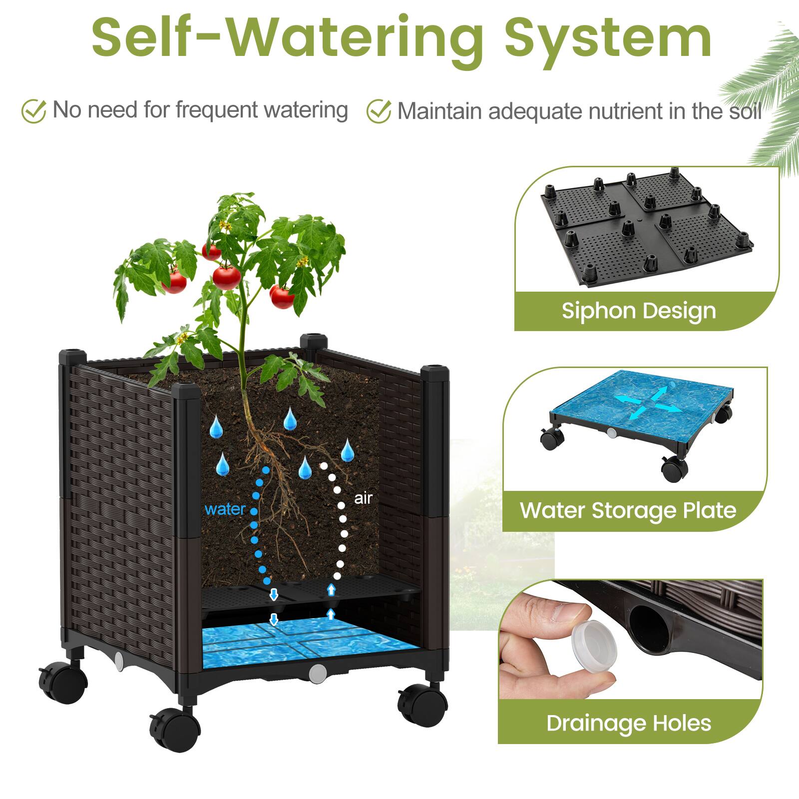 Self-Watering System  
- No need for frequent watering  
- Maintain adequate nutrient in the soil  
- Siphon Design  
- Water Storage Plate  
- Drainage Holes