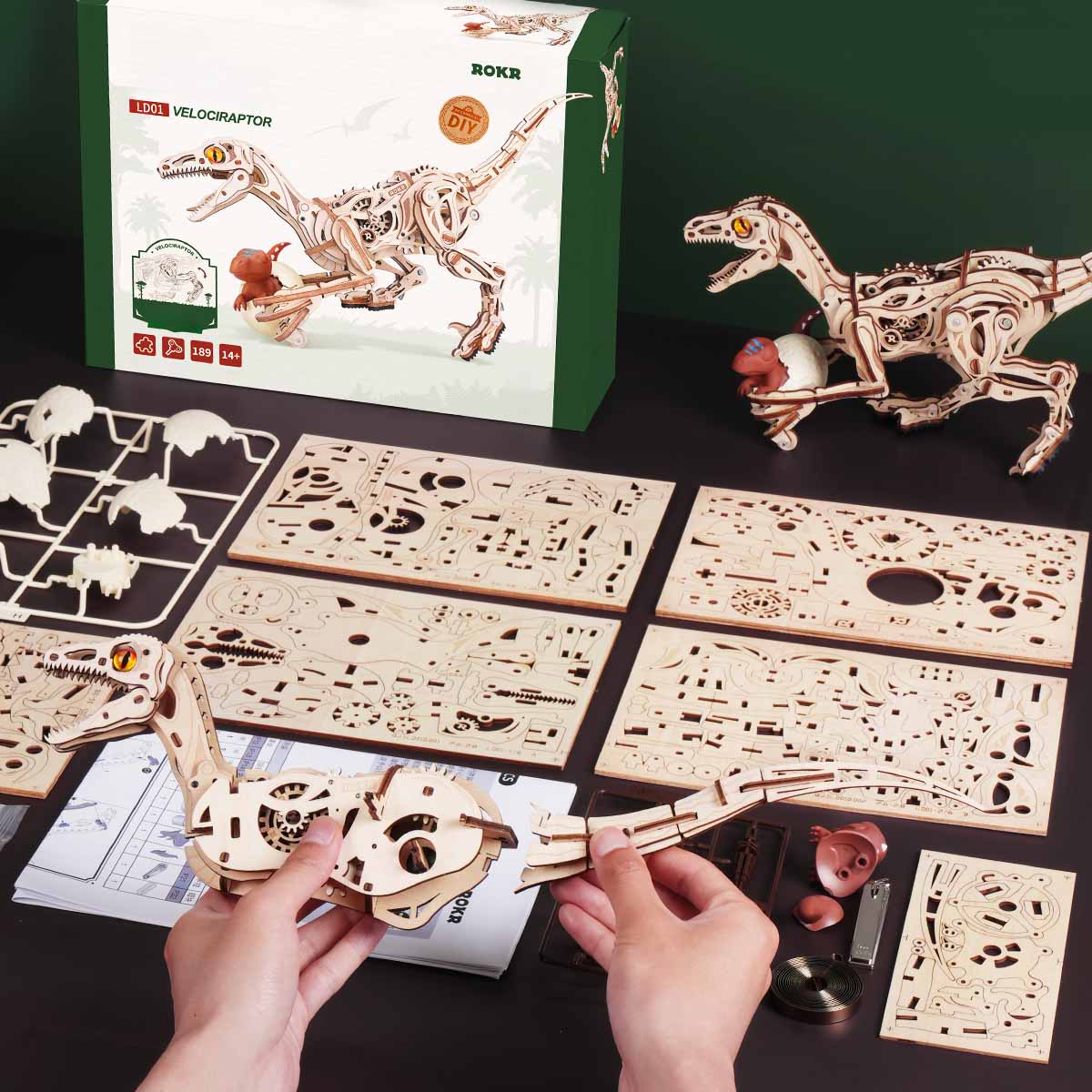 LD01 VELOCIRAPTOR  
ROKR DIY  
DESIGN  
189 14+