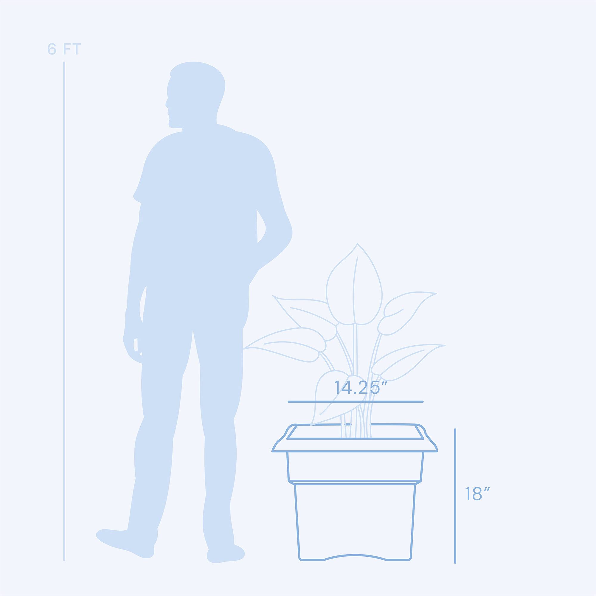 6 FT  
14.25"  
18"