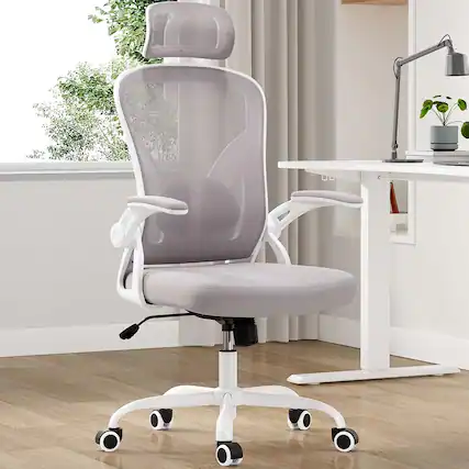 Front. Trinkets Crazed - Ergonomic Office Chair, Home Office Desk Chair with Headrest, High Back Computer Chair with Armrests - gray.