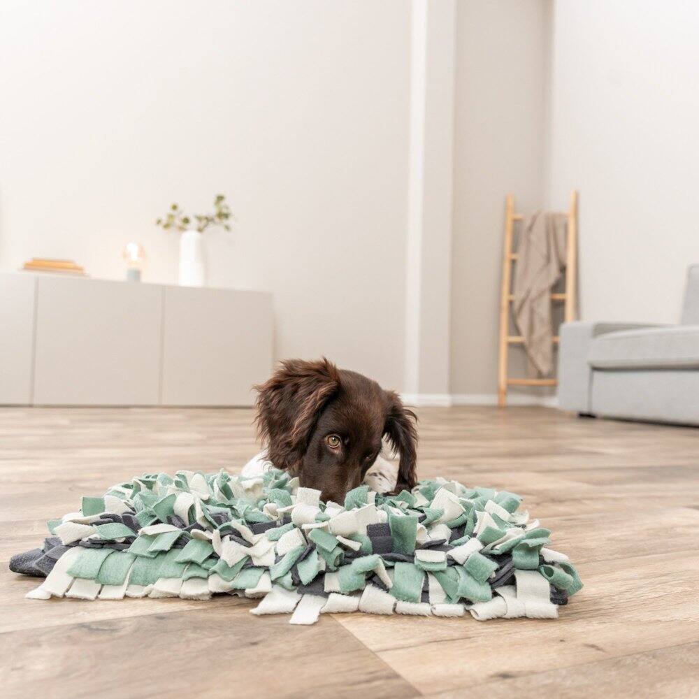 Alt View 2. TRIXIE - Snuffle Mat for Dogs Level 1 Enrichment Puzzle for Dogs Slow Feeder - Green/Gray.