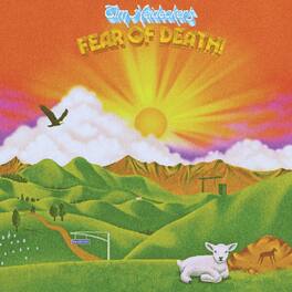 Tim Heidecker - Fear Of Death - VINYL LP