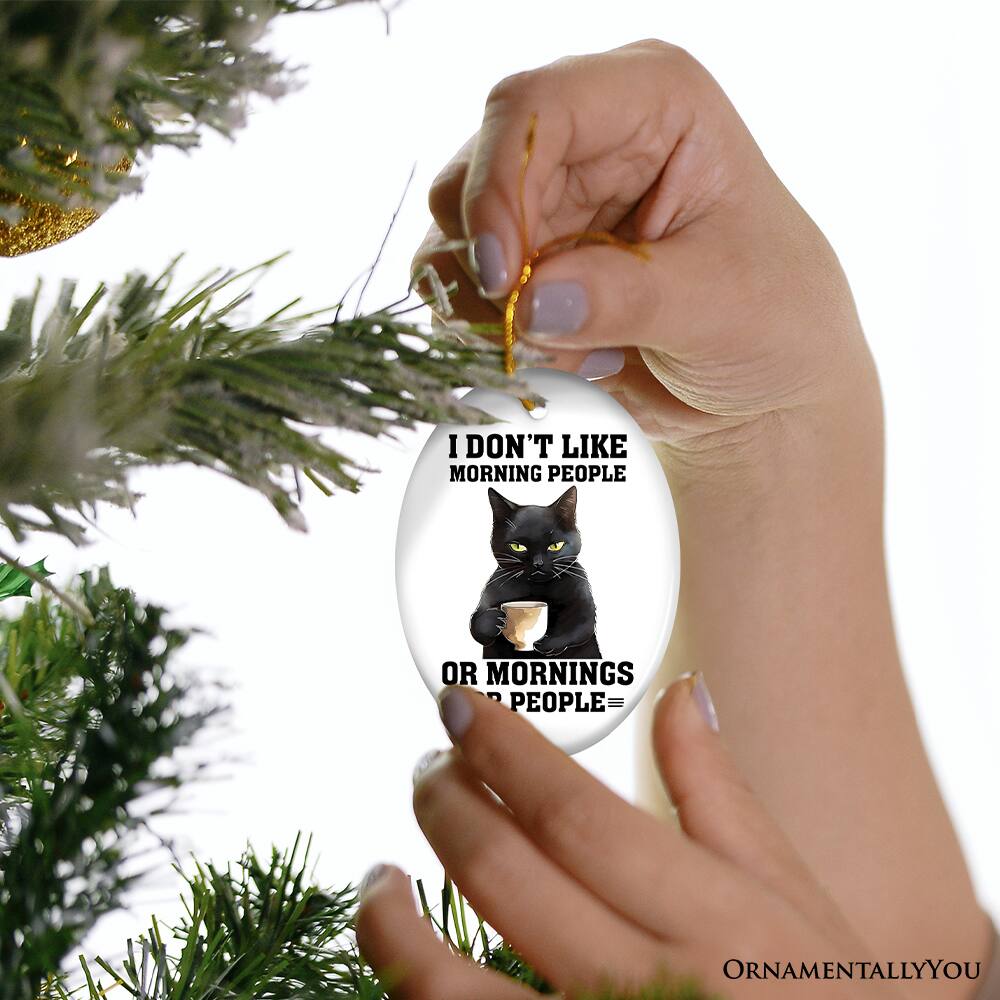 I DON'T LIKE  
MORNING PEOPLE  
OR MORNINGS  
PEOPLE =  
ORNAMENTALLY YOU