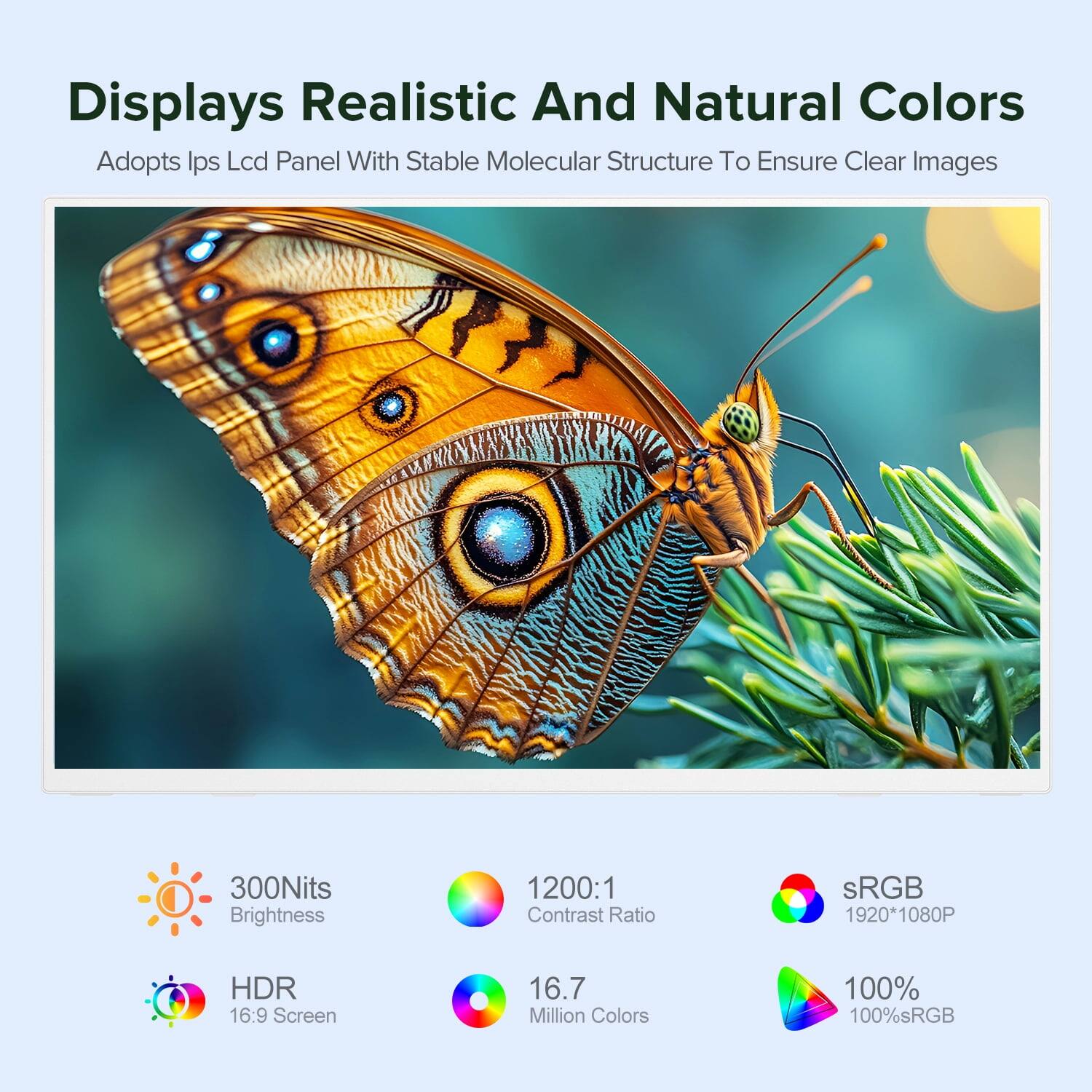 Displays Realistic And Natural Colors  
Adopts Ips Lcd Panel With Stable Molecular Structure To Ensure Clear Images  
300Nits Brightness  
1200:1 Contrast Ratio  
sRGB 1920*1080P HDR 16:9 Screen  
16.7 Million Colors  
100% sRGB