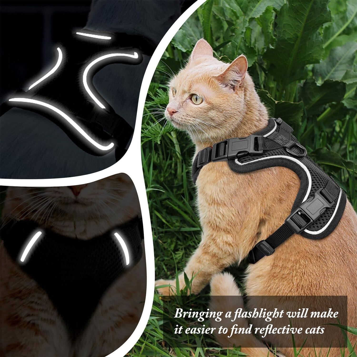 Bringing a flashlight will make it easier to find reflective cats