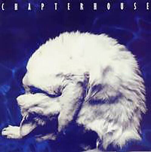 Front. Chapterhouse - Whirlpool   - COMPACT DISCS.
