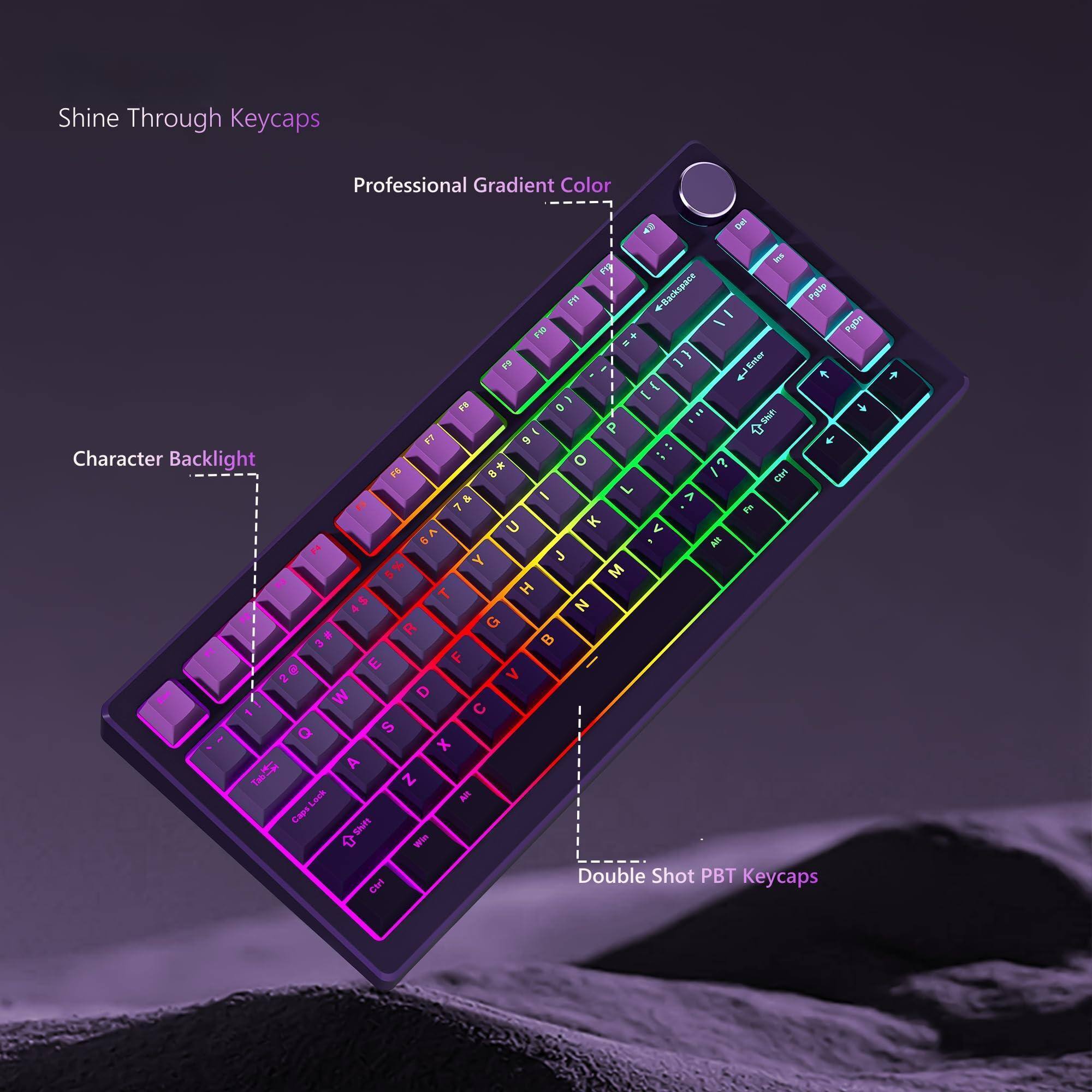 Shine Through Keycaps  
Professional Gradient Color  

Character Backlight  

Double Shot PBT Keycaps