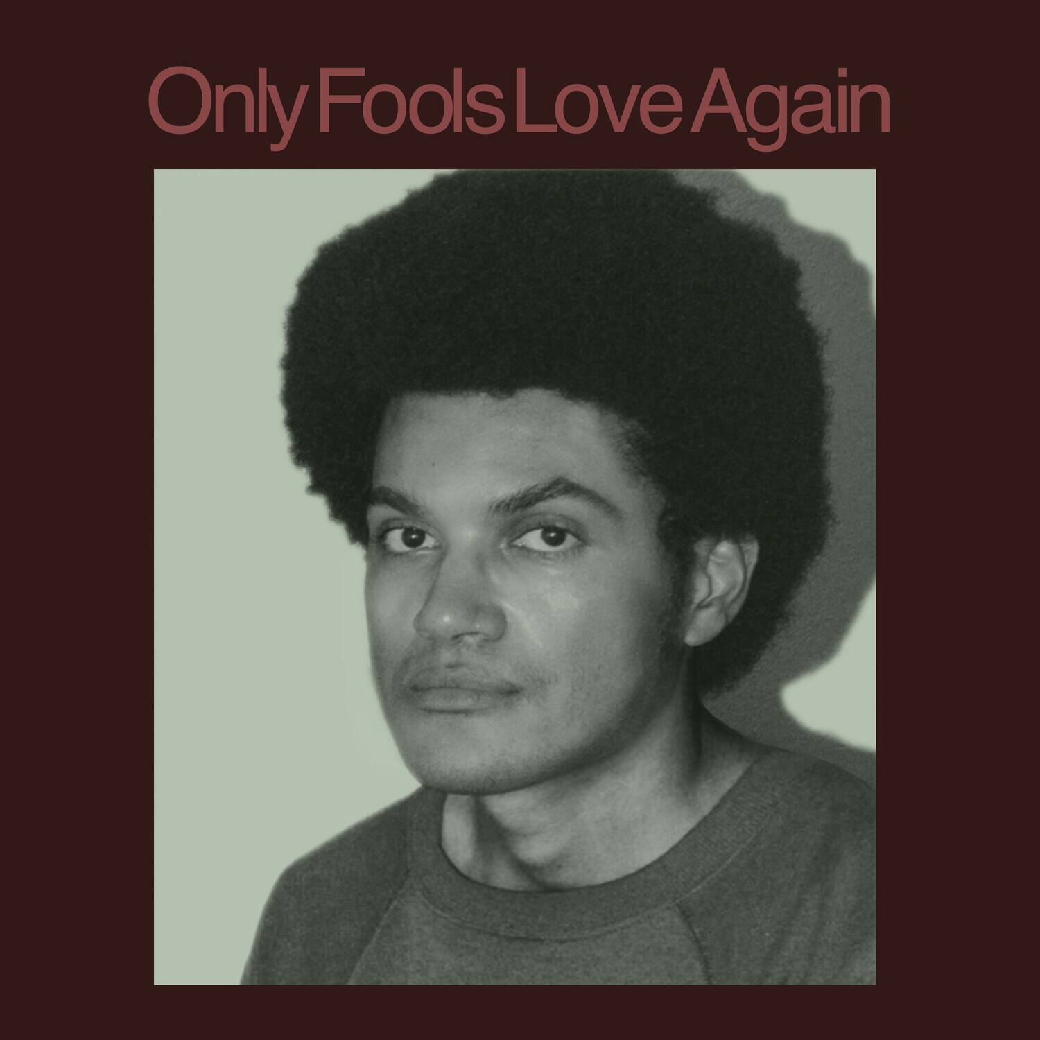 Danny Ayala - Only Fools Love Again - VINYL LP