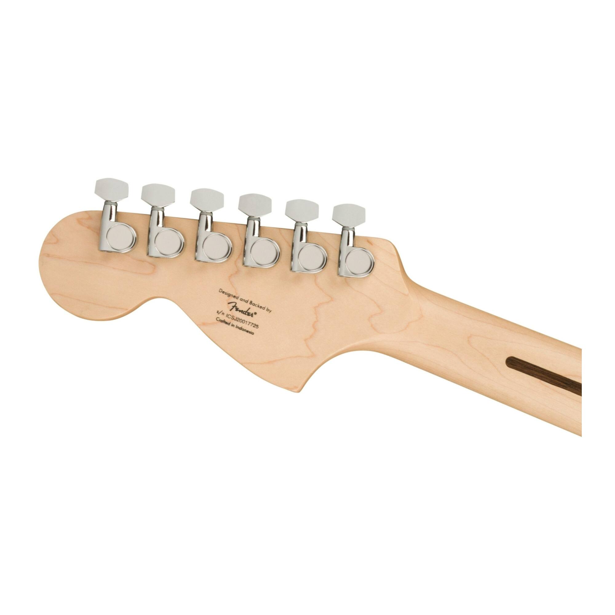 Designed and Backed by Boc Pondar sad M Couhed ICSJ20017725 - Int