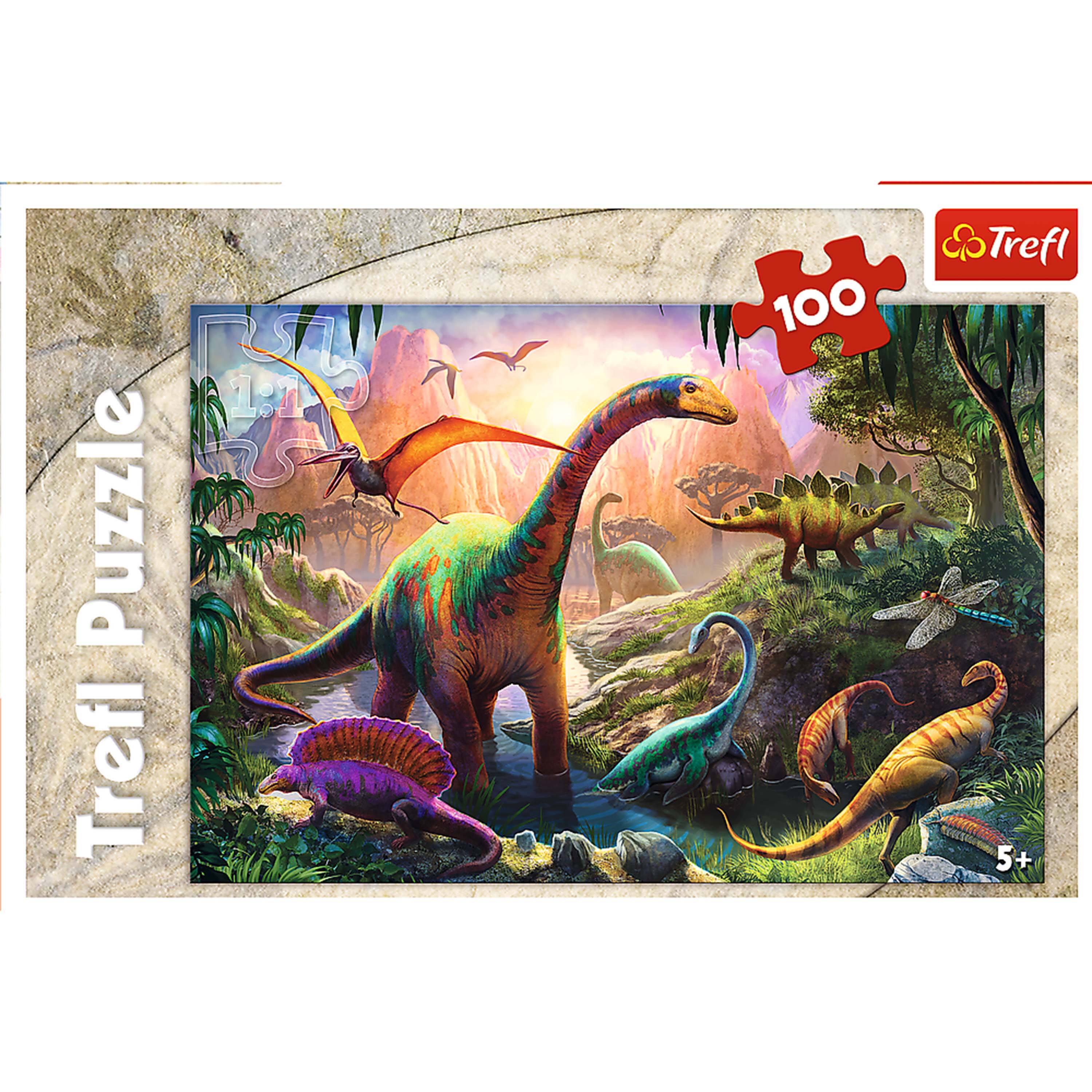Trefl Puzzle  
100  
5+
