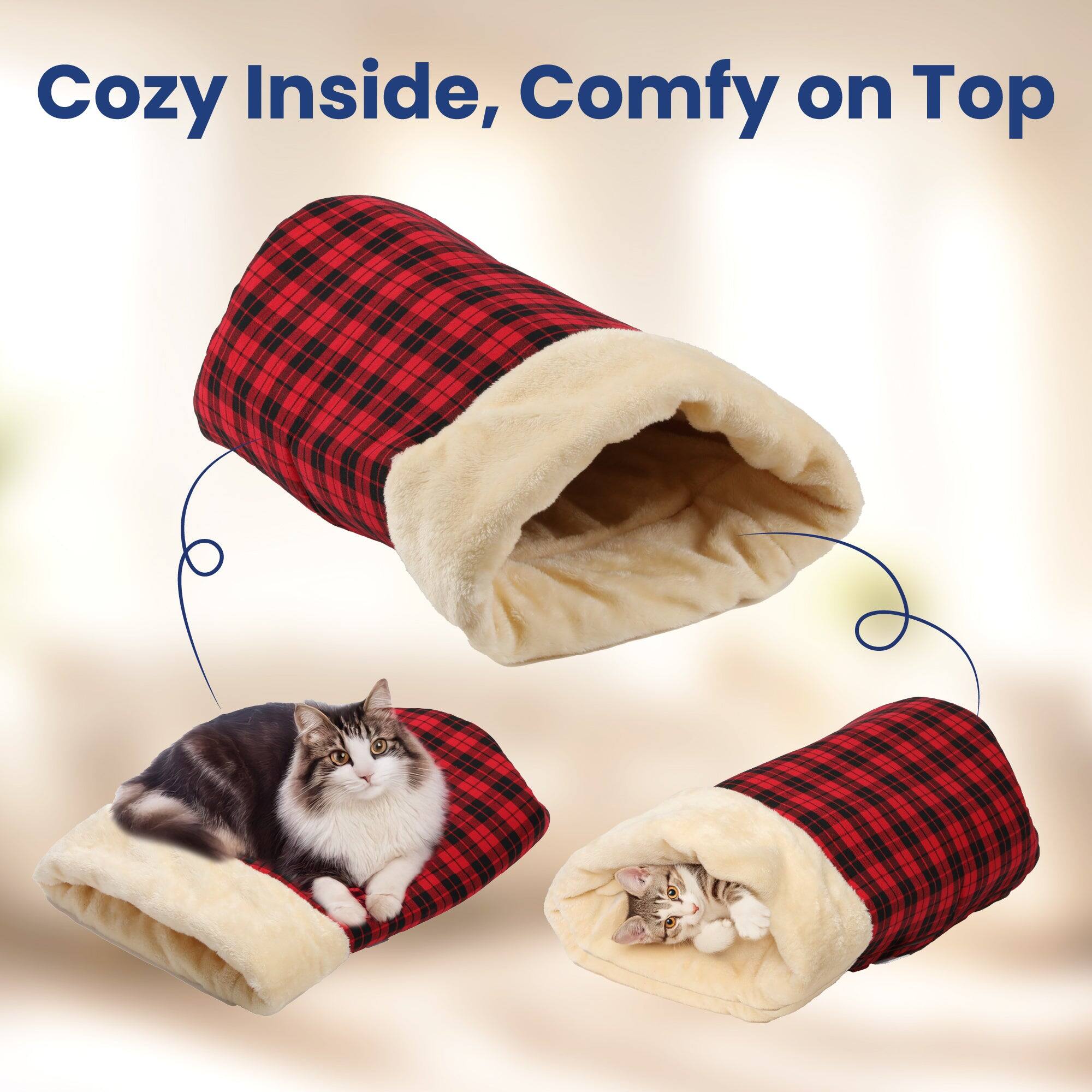 Cozy Inside, Comfy on Top