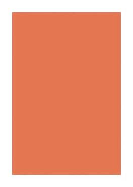 Southwest School Supply - Spectra Deluxe Bleeding Art Tissue, 20" x 30", 24 Sheets/Pack - Orange