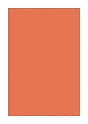 Front. Southwest School Supply - Spectra Deluxe Bleeding Art Tissue, 20" x 30", Orange, 24 Sheets/Pack (P0059162) - Orange.