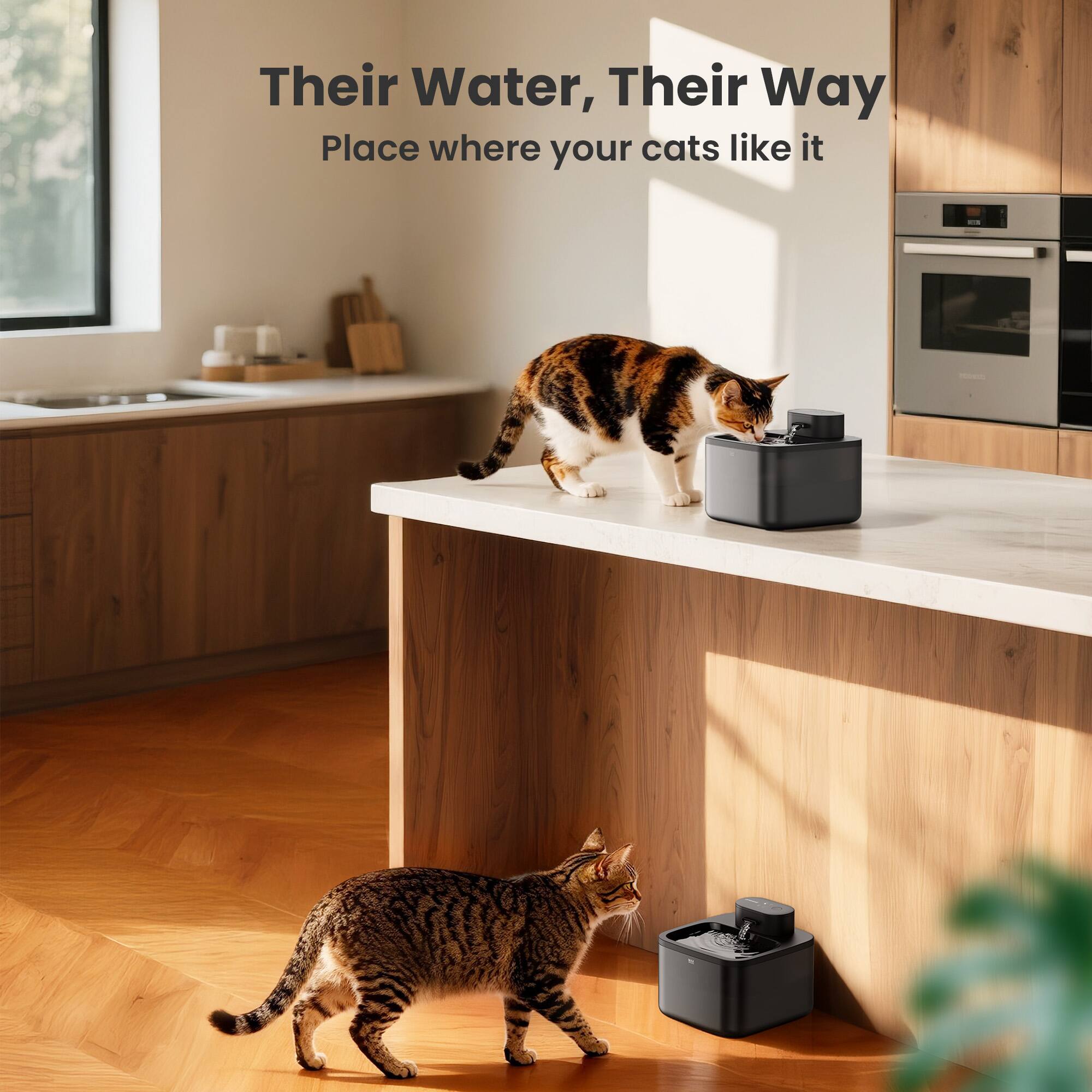 Their Water, Their Way  
Place where your cats like it