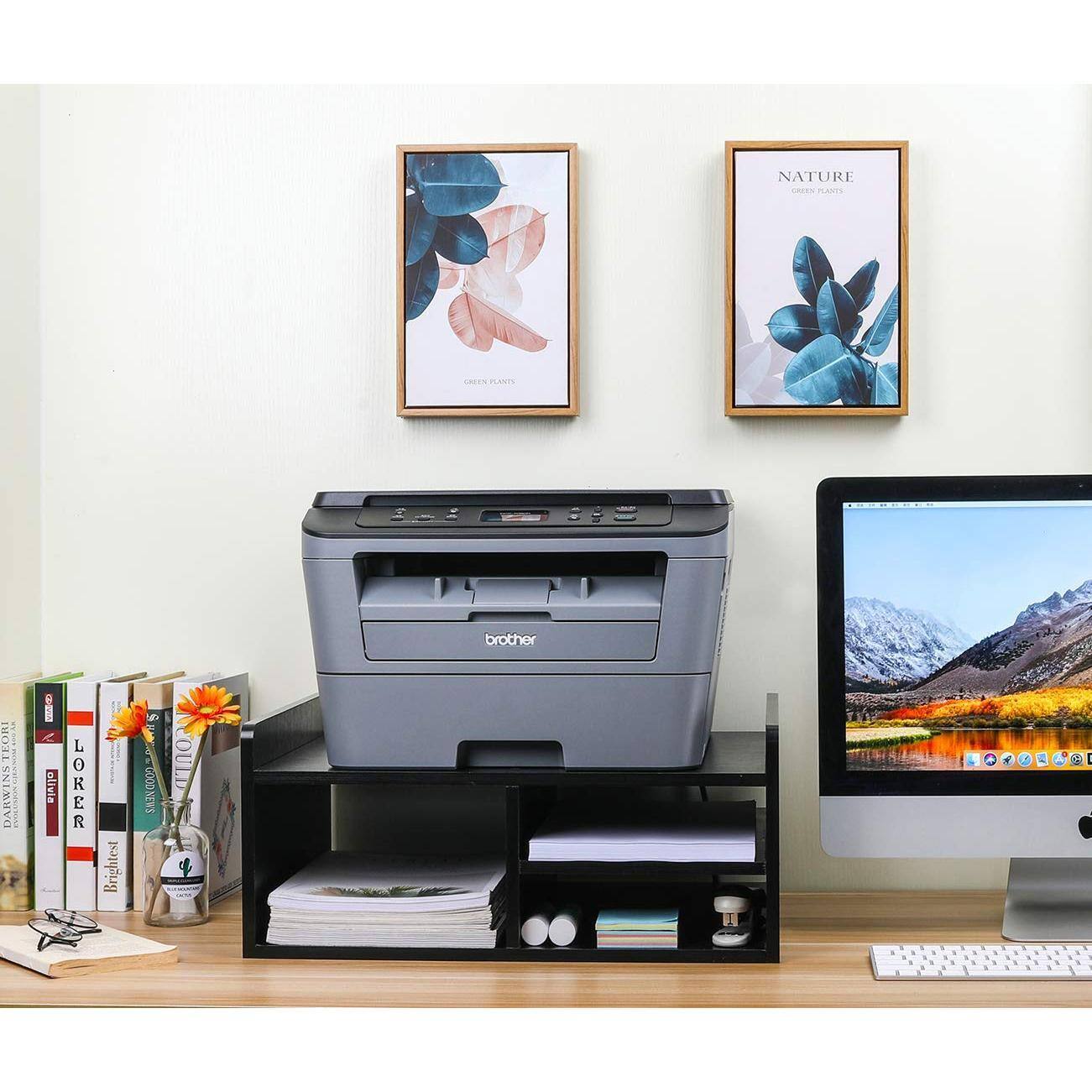 NATURE  
GREEN PLANTS  

NATURE  
GREEN PLANTS  

brother  

LOKER  
Brightest  

DAWN'S THEORY  

DOOONEWS  
COULD 9 + + 1 - A