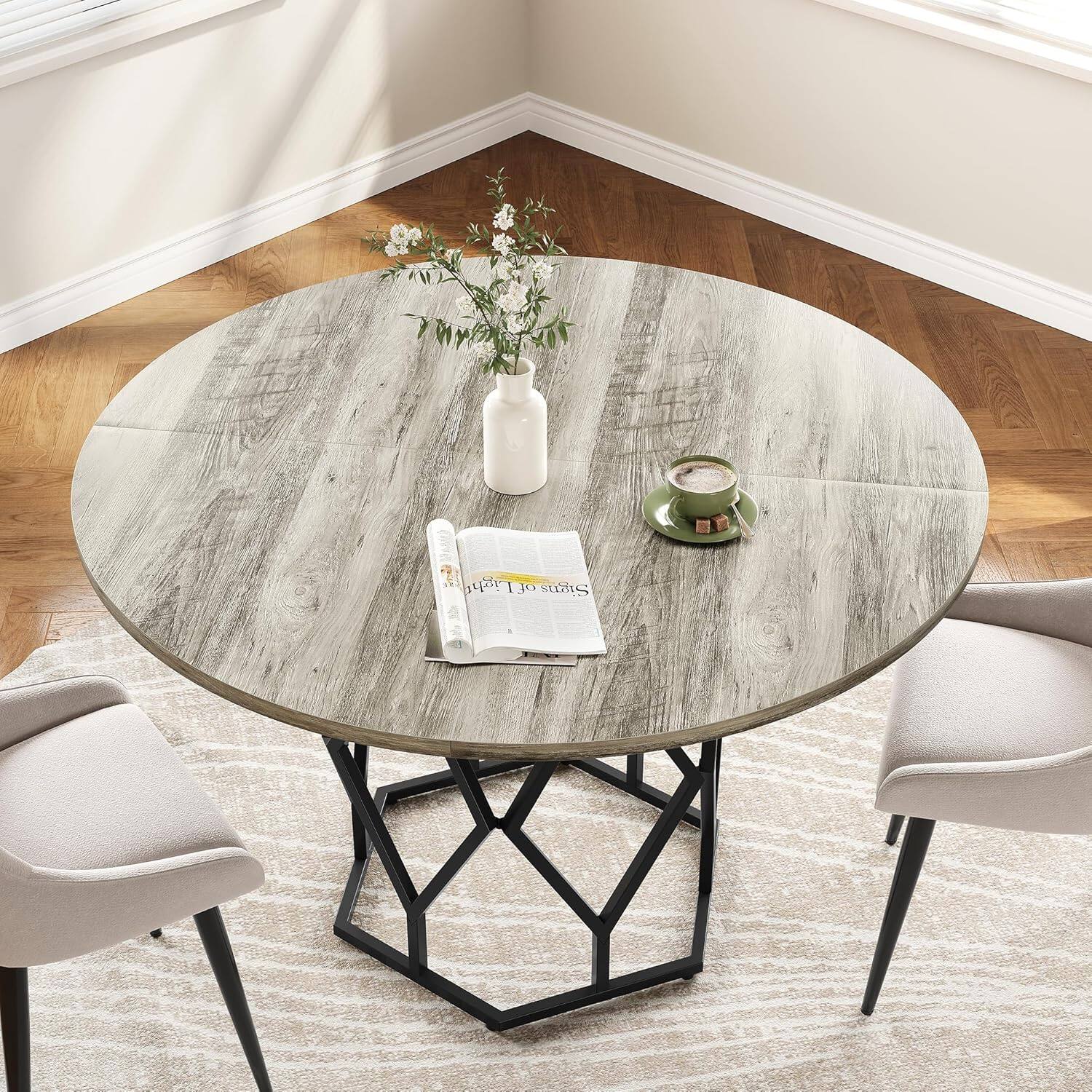 The text on the image reads:

"Light of Signs"