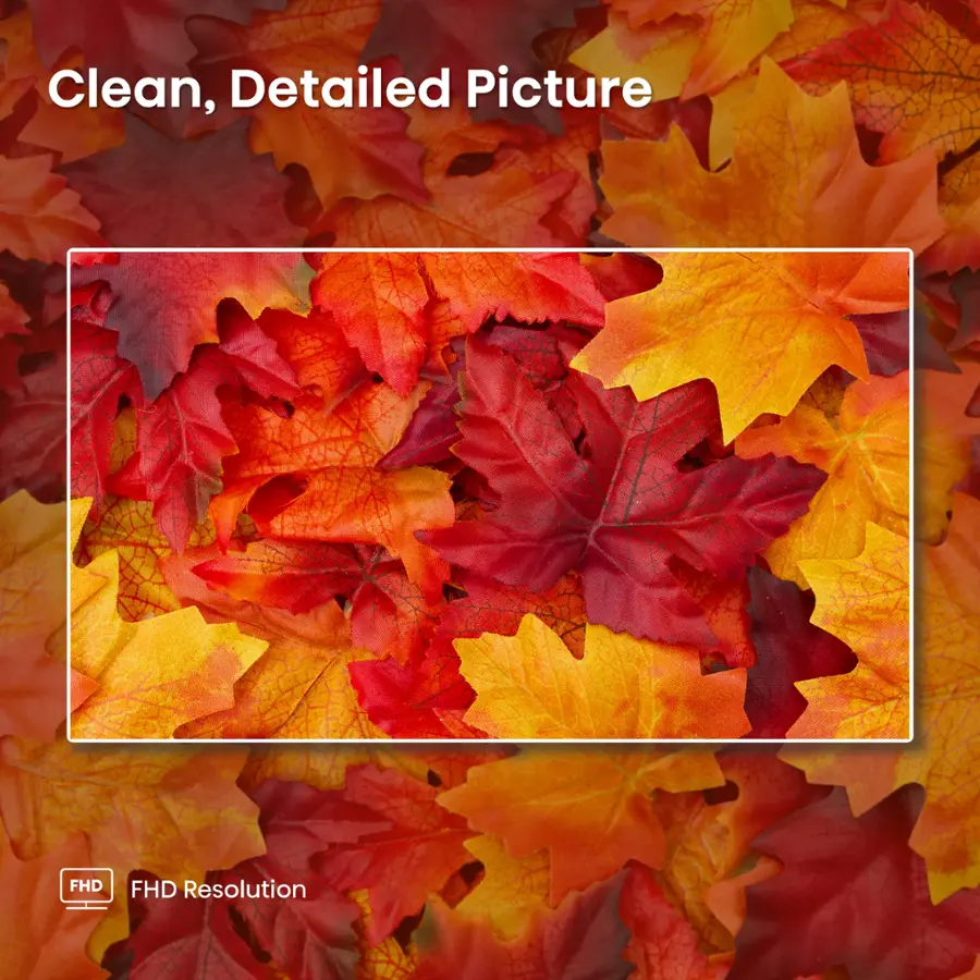 Clean, Detailed Picture FHD Resolution