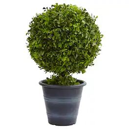 BreeBe - 23" Boxwood Ball Topiary - Green
