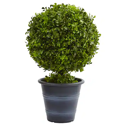 Front. BreeBe - 23" Boxwood Ball Topiary - Green.