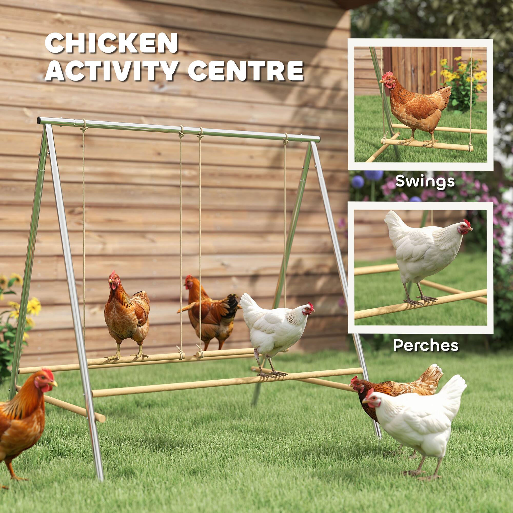 CHICKEN ACTIVITY CENTRE

Swings

Perches