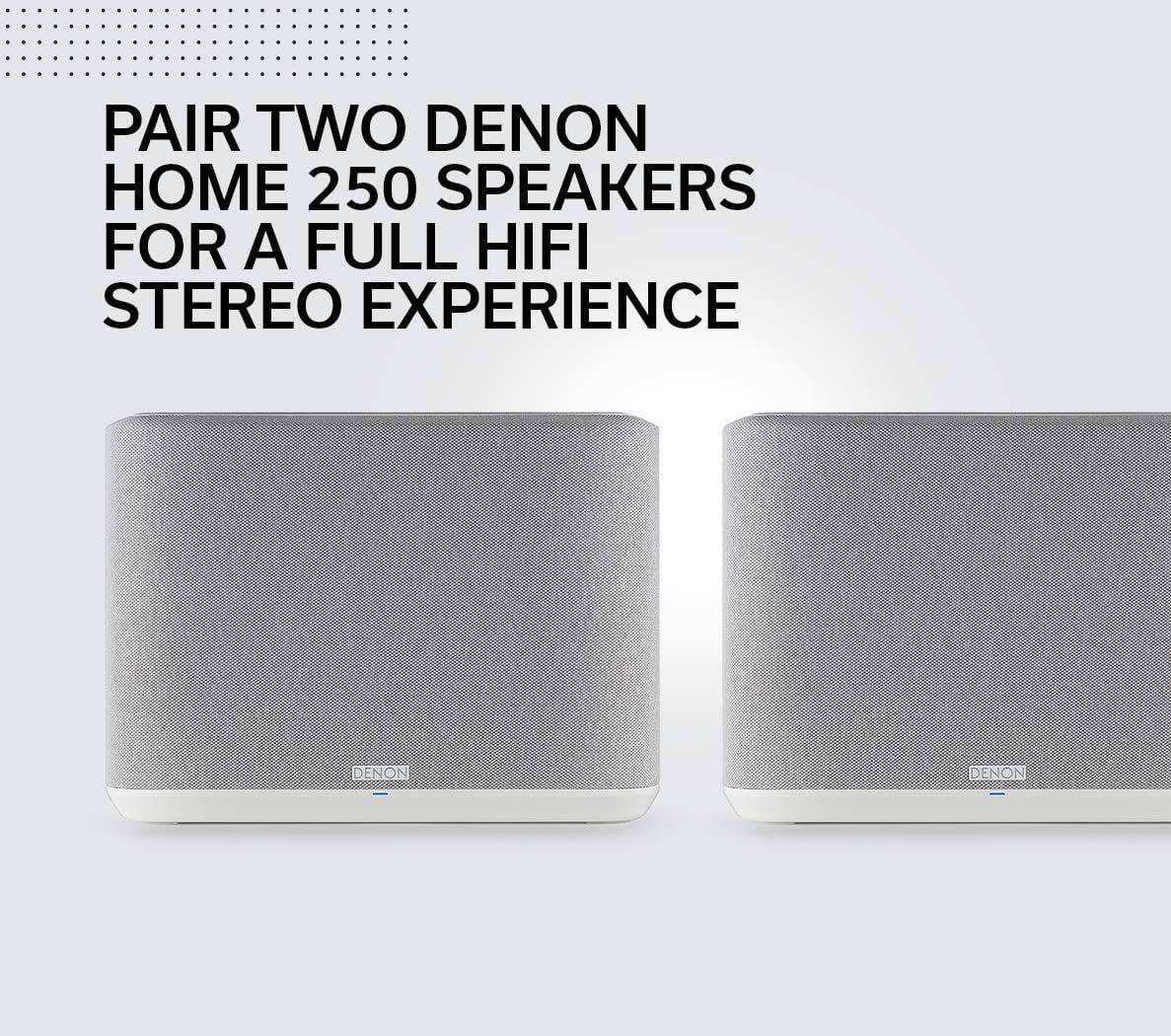 PAIR TWO DENON HOME 250 SPEAKERS FOR A FULL HIFI STEREO EXPERIENCE