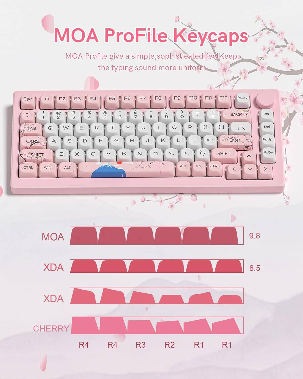 MOA ProFile Keycaps  
MOA Profile gives a simple, sophisticated feel. Keep the typing sound more uniform.  

Esc F1 F2 F3 F4 F5 F6 F7 F8 F9 F10 F11 F12 Pause I 1 2 # 3 $ 4 % 5 6 & 7 8 ( 9 ) O + - BACK Ins TAB Q w E R T Y U I O P ( }] I Del CAPS A S D F G H J K L : Enter PoUp SHIFT Z x C V B N M < ? / SHIFT PgDn CTRL WIN ALT ALT FN CTRL  

MOA 9.8  
XDA 8.5  
XDA  
CHERRY R4 R4 R3 R2 R1 R1