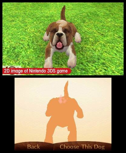 2D image of Nintendo 3DS game

Back Choose This Dog