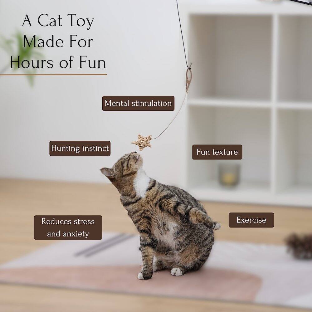 A Cat Toy Made For Hours of Fun

- Mental stimulation
- Hunting instinct
- Fun texture
- Reduces stress and anxiety
- Exercise