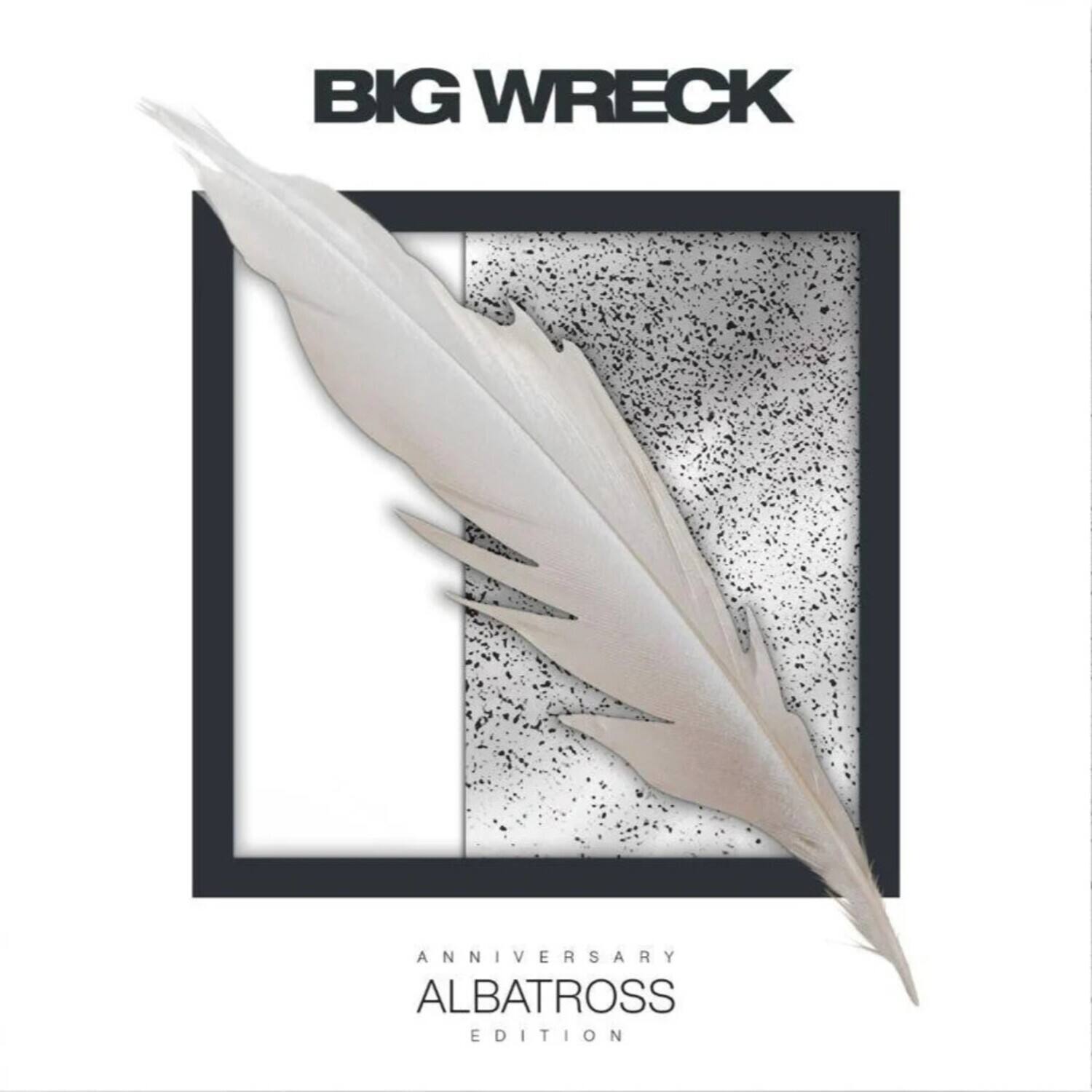 Big Wreck - Albatross: Anniversary Deluxe Edition - Limited   - COMPACT DISCS [CD] price history on PriceWatchPro