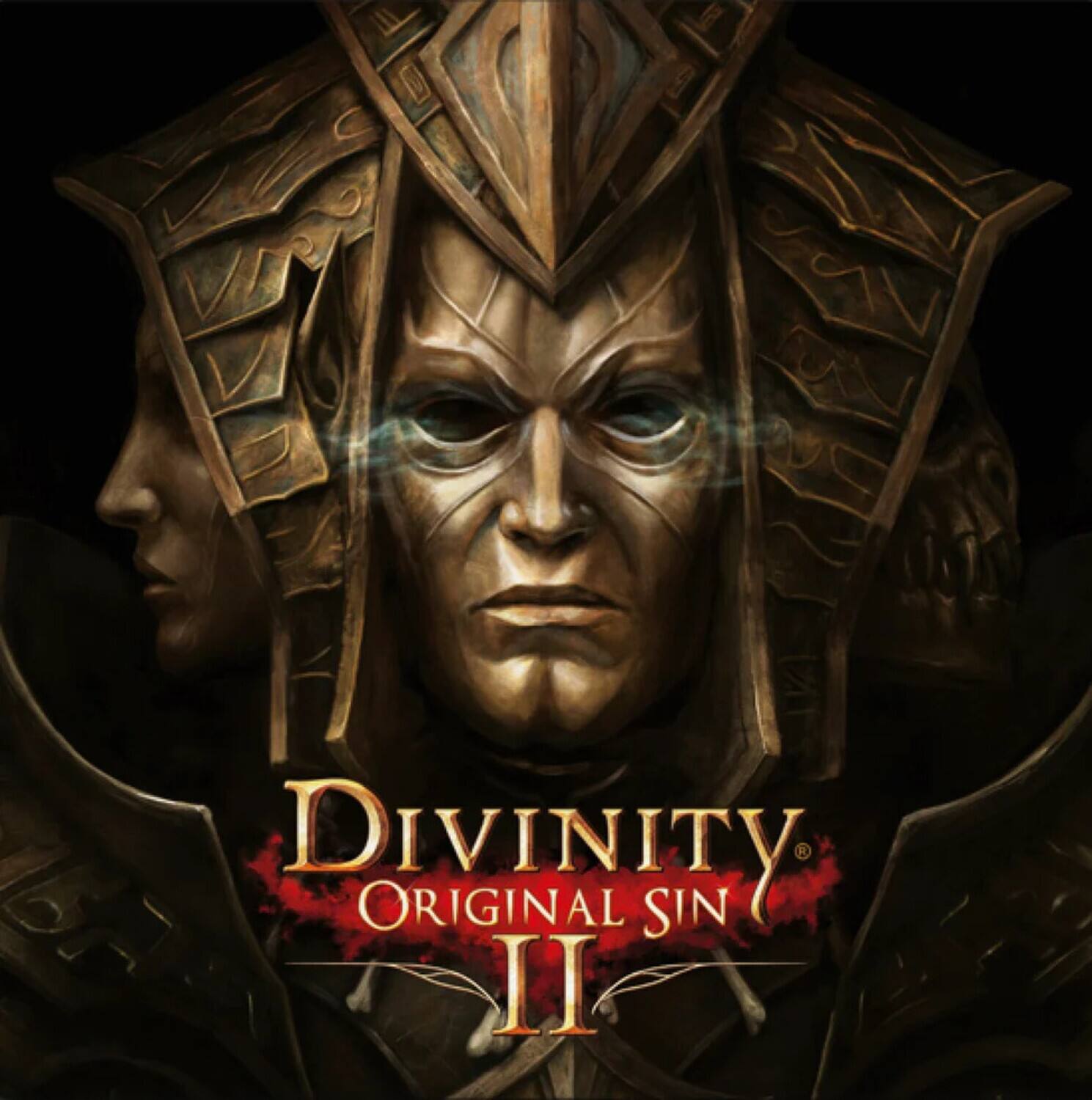 Divinity: Original Sin II