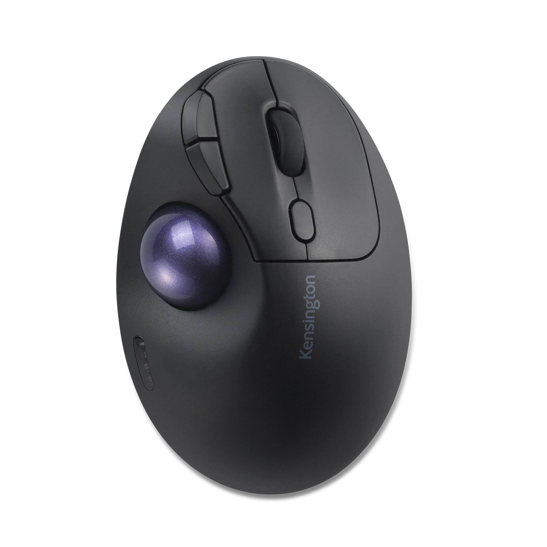 Black/Purple