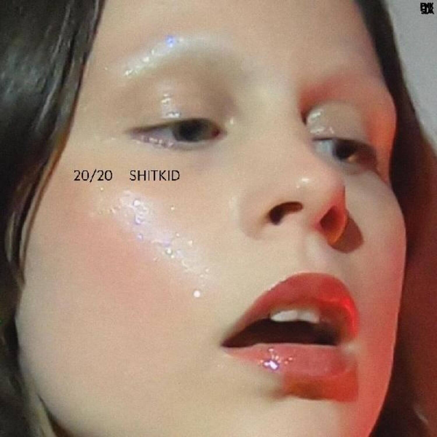 Shitkid - 20/20 Shitkid   - VINYL LP price history on PriceWatchPro
