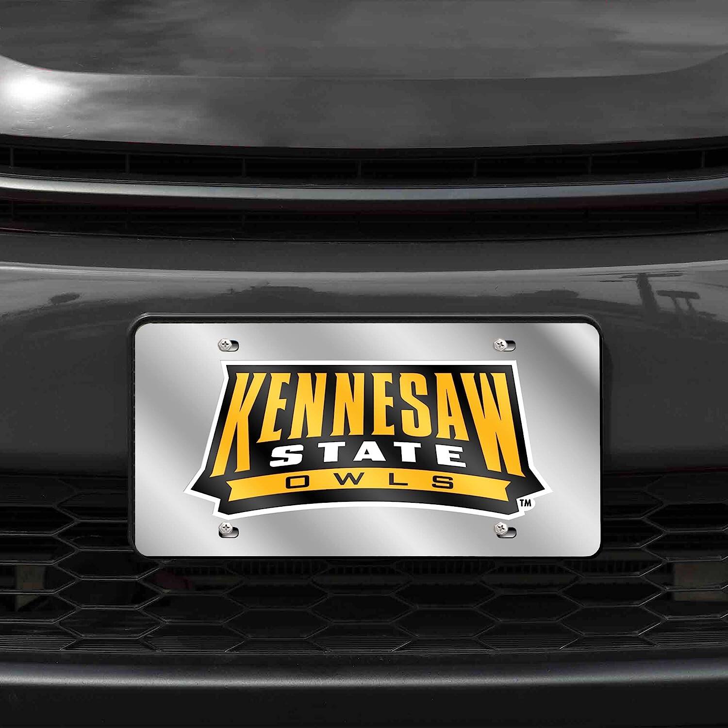 KENNESAW STATE OWLS™