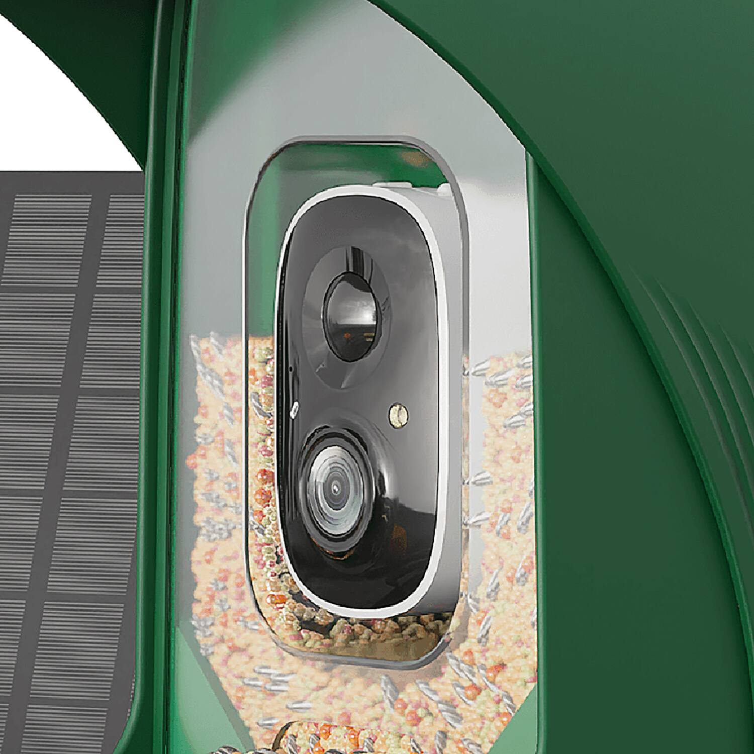 Angle. PerchMe - AI-Recognition Smart Bird Feeder with Camera, Solar Powered - Forest Green.