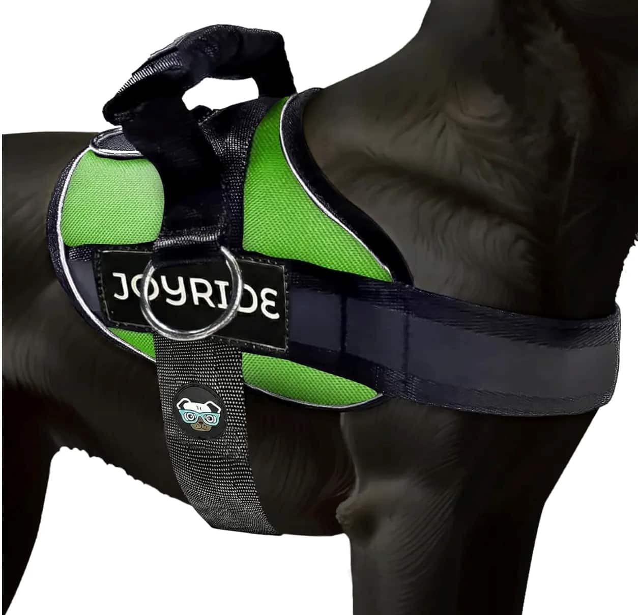 ProMounts - Side Ring No Pull Dog Harness, No Choke, Escape Proof, Reflective Pet Vest with 3 Leash Clips for Medium & Large Dogs - Green