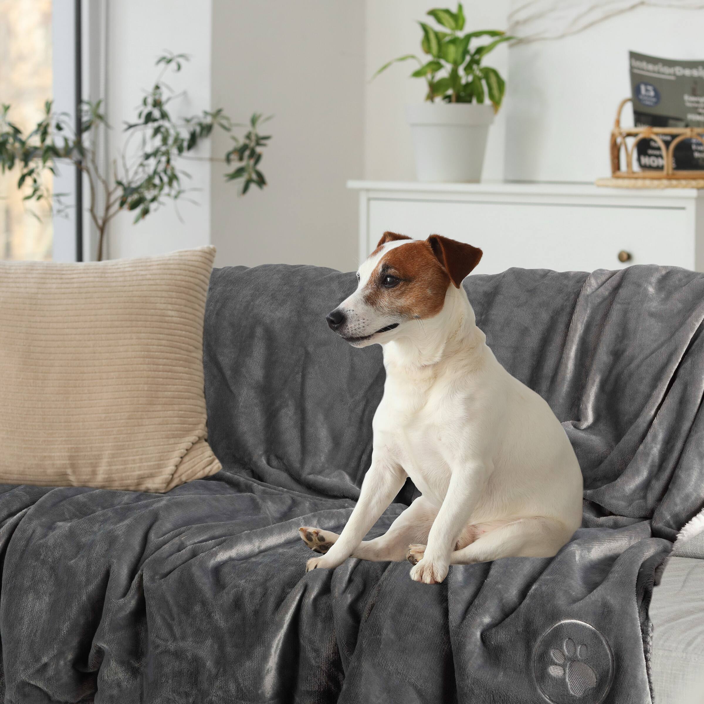 Interior Design is HON