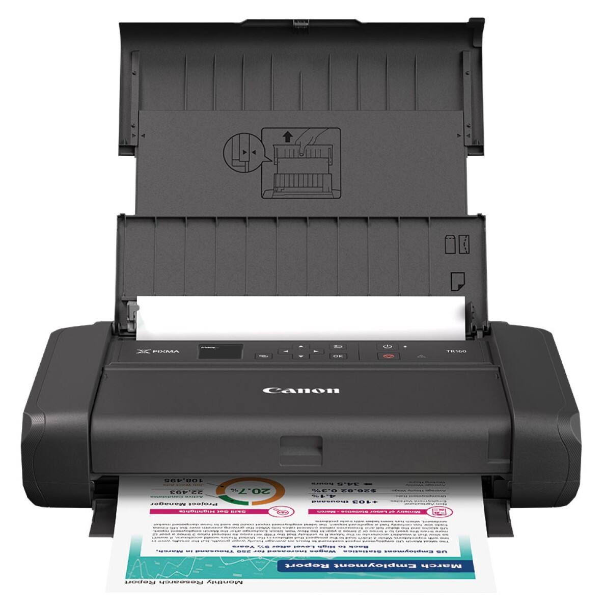 Canon - PIXMA TR160 Portable Wireless Inkjet Printer - Black