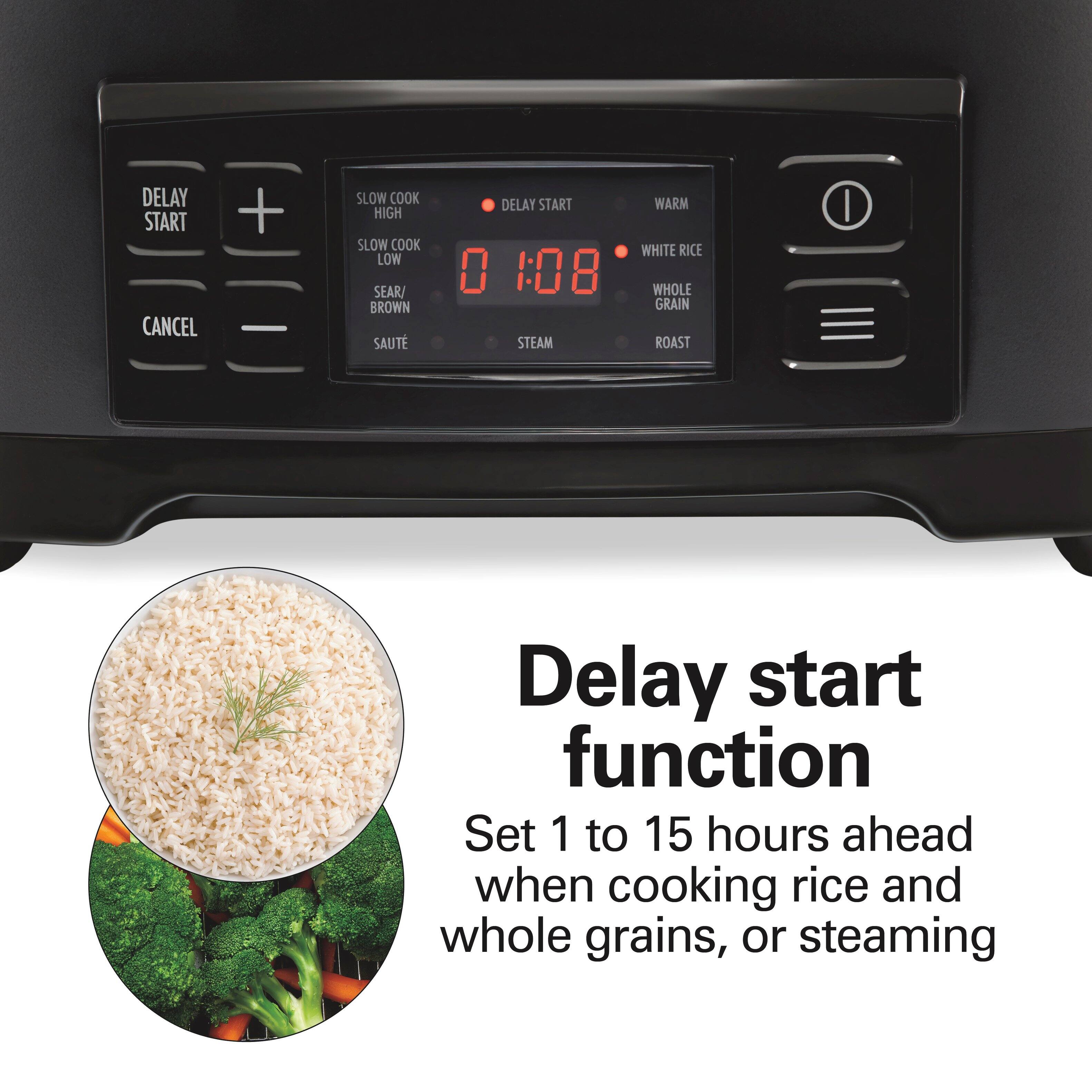 DELAY START CANCEL  
+  
SLOW COOK HIGH SLOW COOK LOW SEAR/ BROWN SAUTÉ  
DELAY START 108 STEAM  
WARM WHITE RICE WHOLE GRAIN ROAST  

Delay start function  
Set 1 to 15 hours ahead when cooking rice and whole grains, or steaming